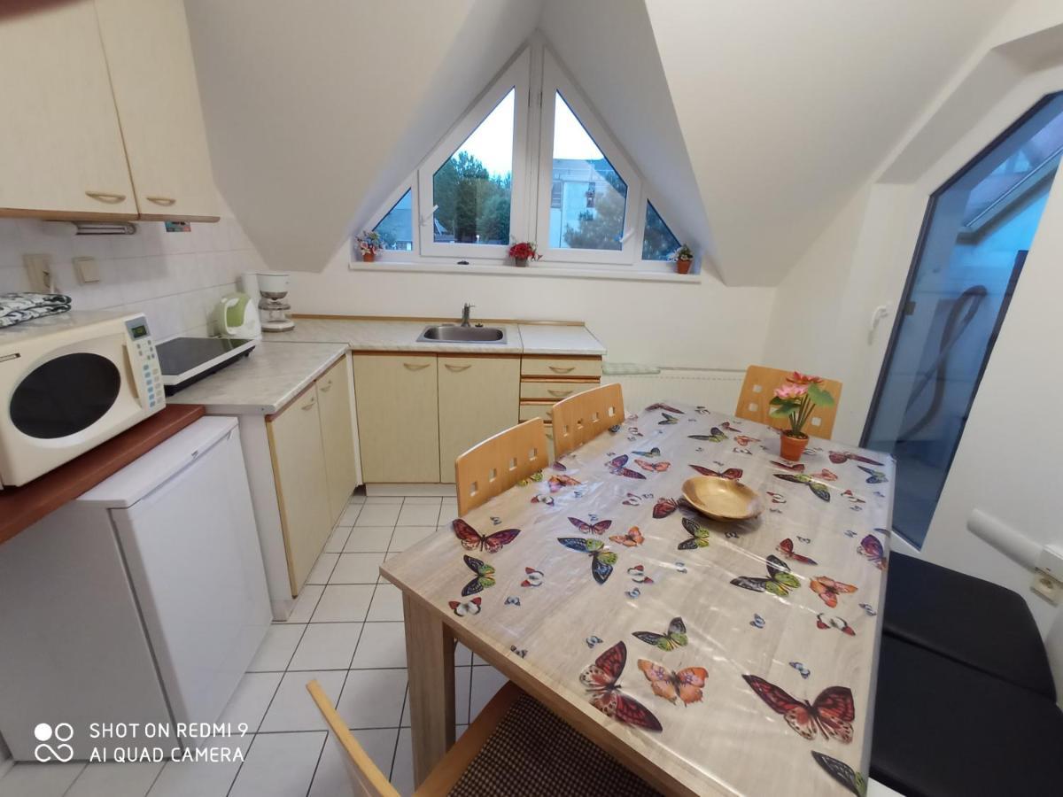 Apartman Violeta Harrachov Exterior foto