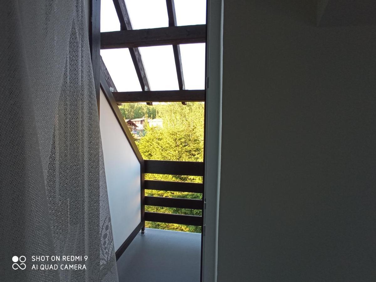 Apartman Violeta Harrachov Exterior foto